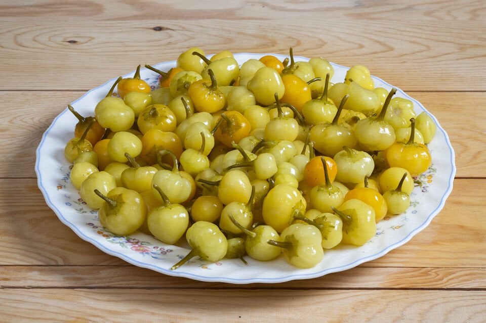 Haşmet Biber Turşusu